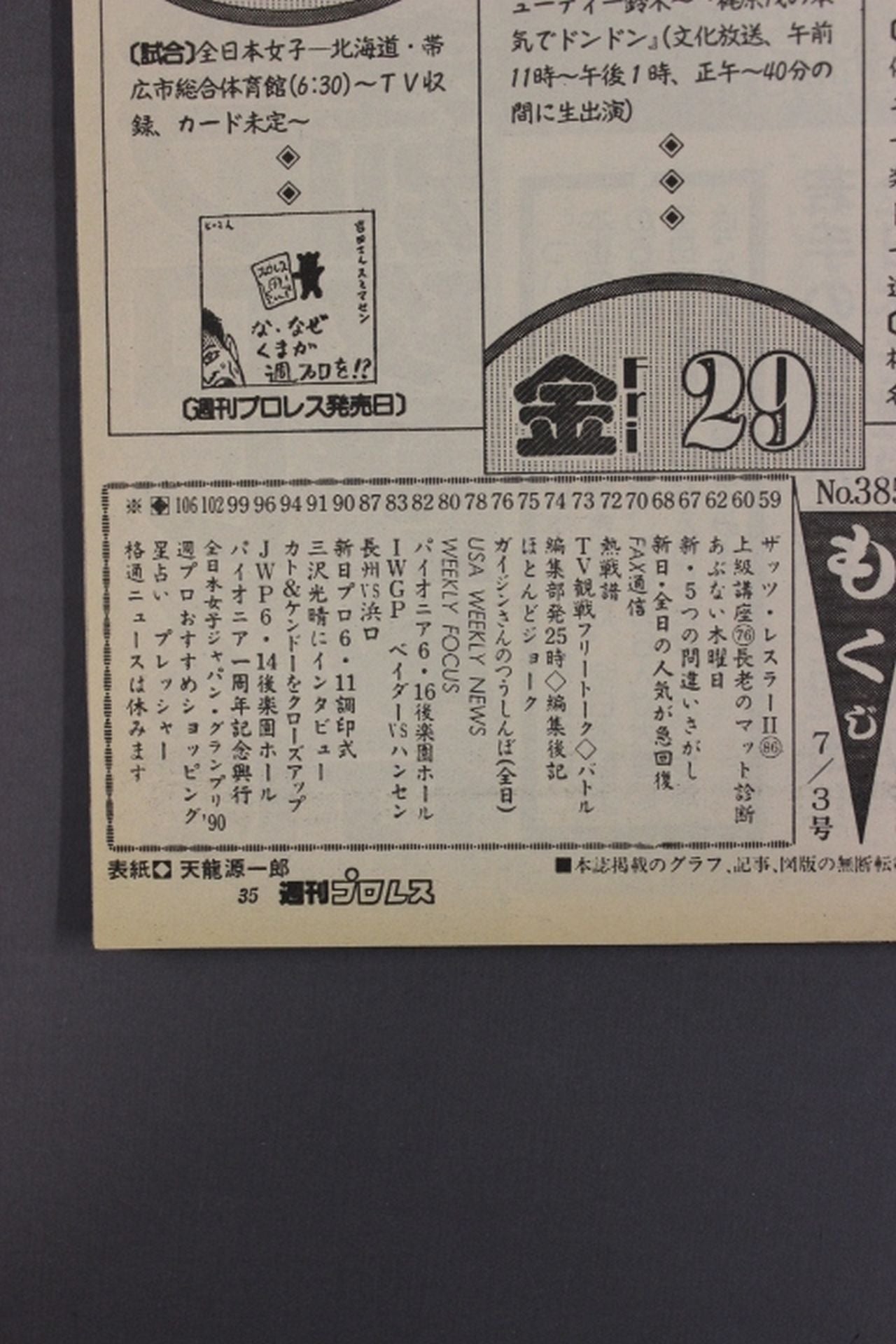 Weekly Pro Wrestling 385