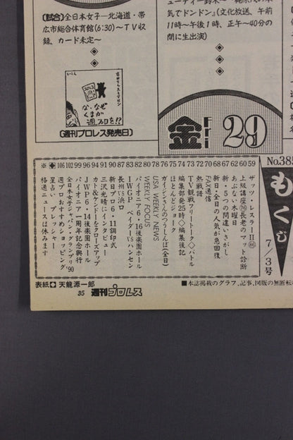 Weekly Pro Wrestling 385