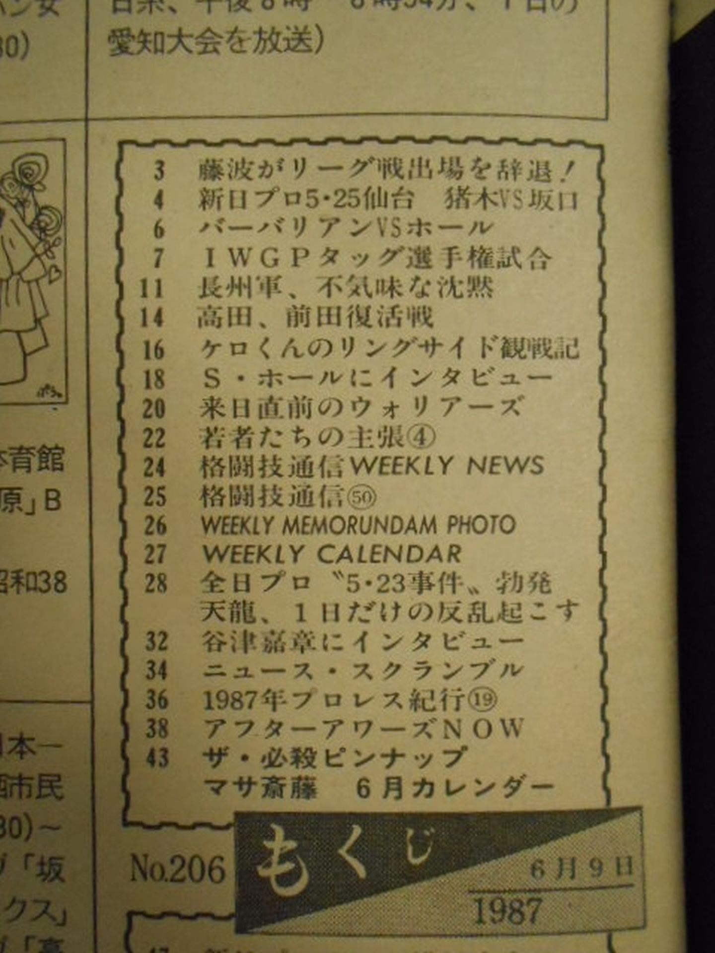 週刊プロレス206