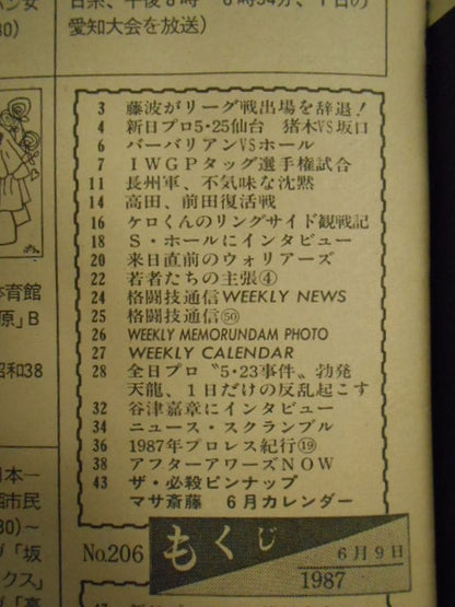 週刊プロレス206