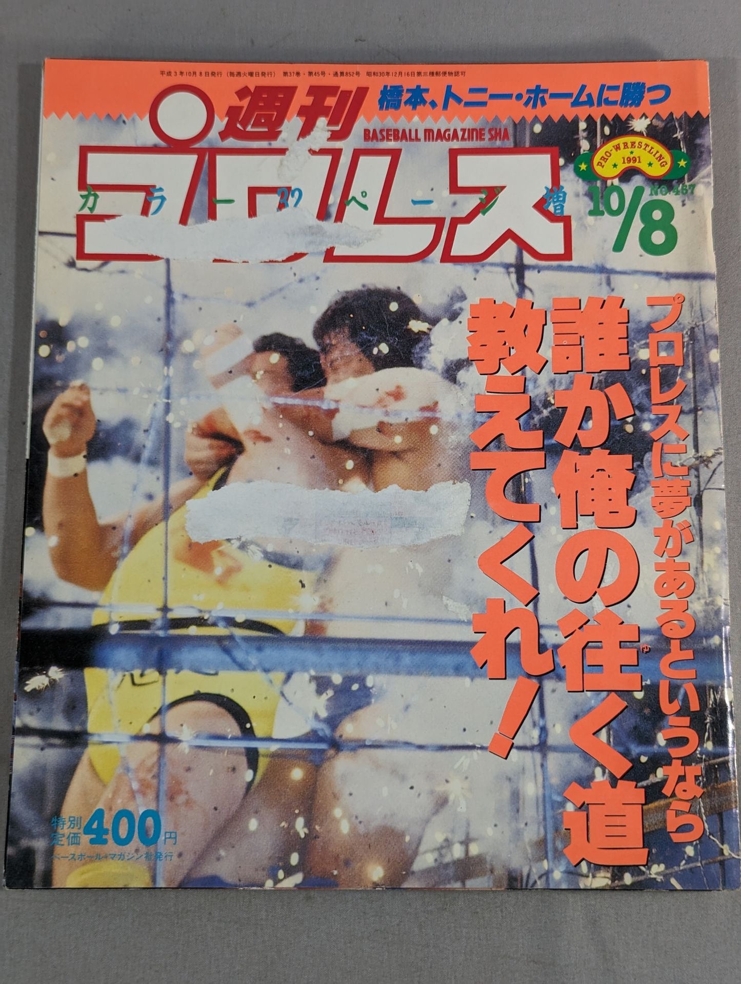 週刊プロレス457
