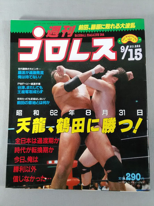 Weekly Pro Wrestling 222