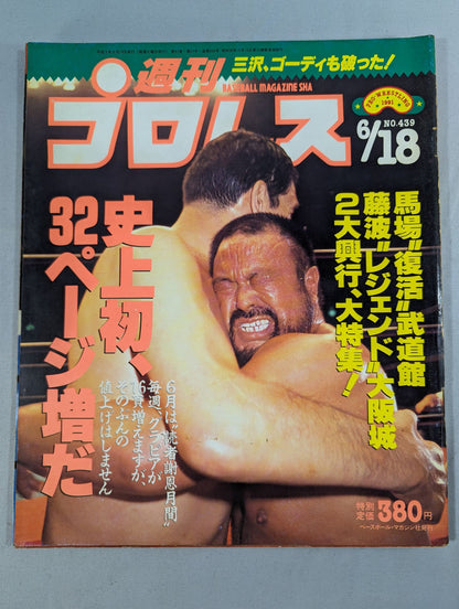 Weekly Pro Wrestling  439
