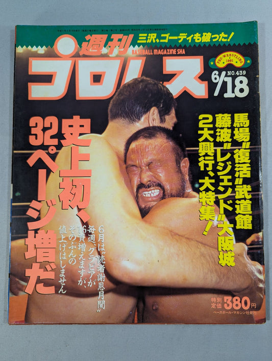 Weekly Pro Wrestling  439
