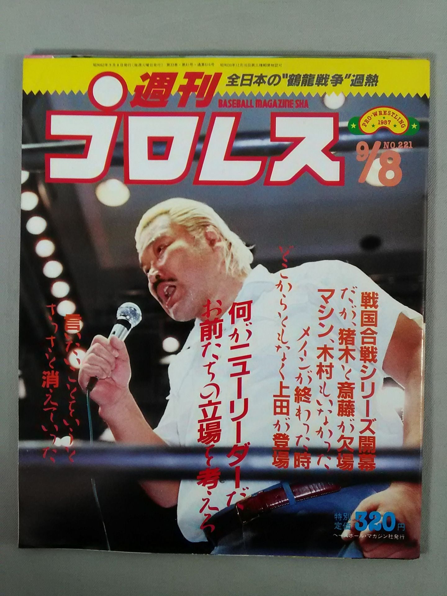 Weekly Pro Wrestling 221