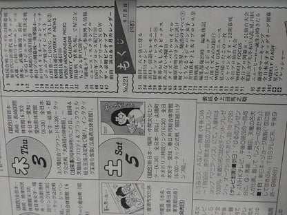 Weekly Pro Wrestling 221