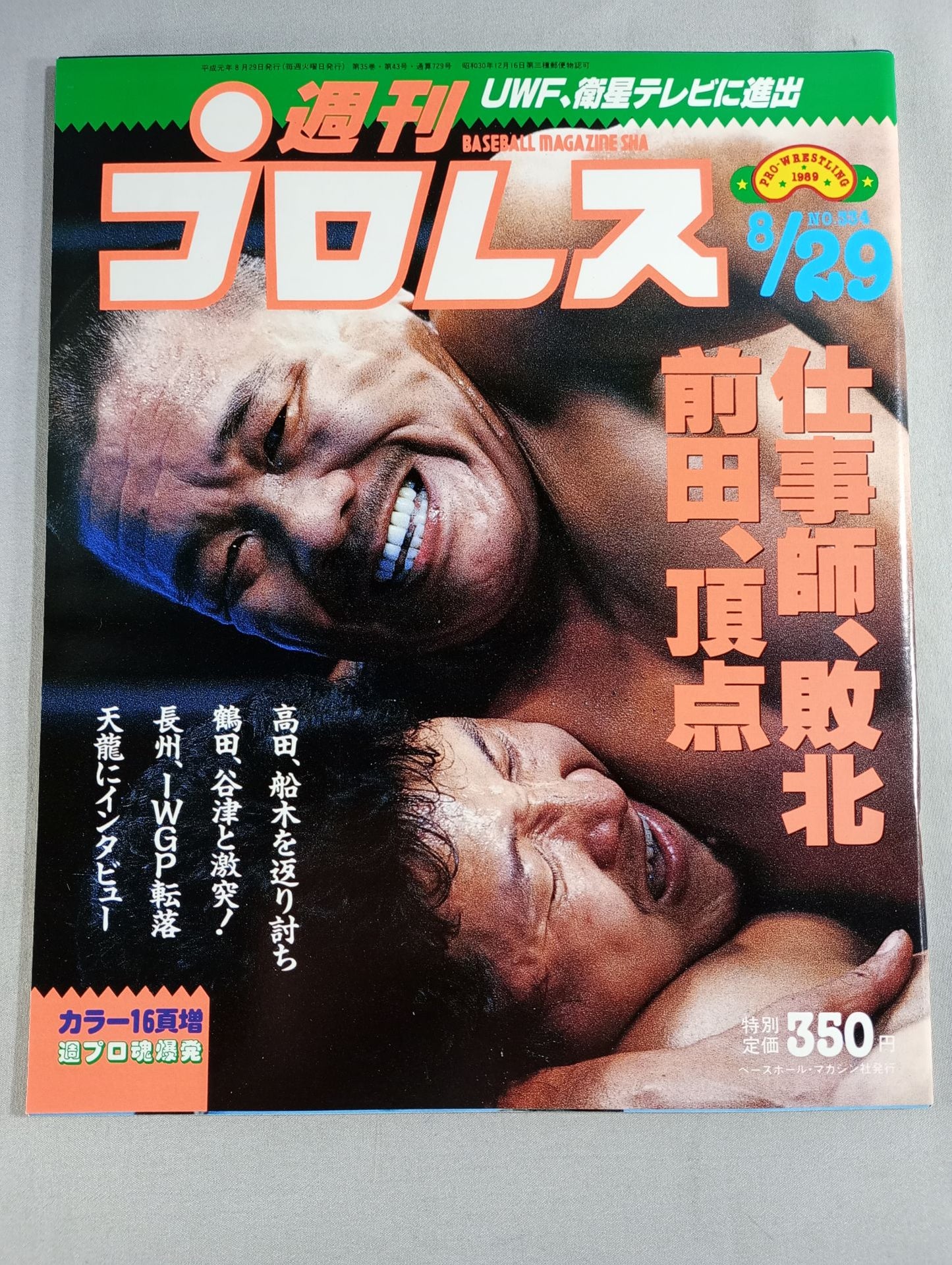 Weekly Pro Wrestling 334