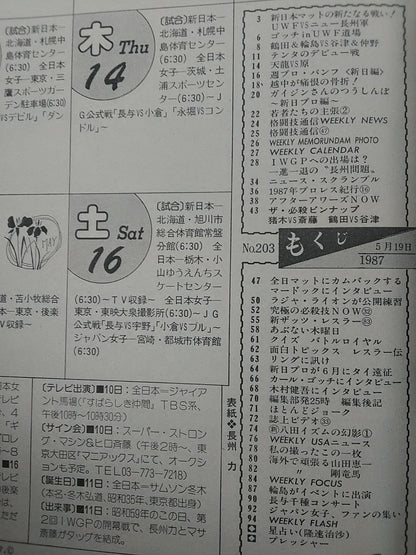週刊プロレス203