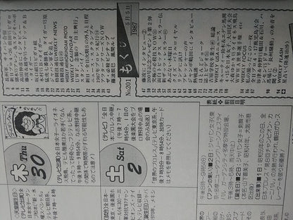 Weekly Pro Wrestling  201