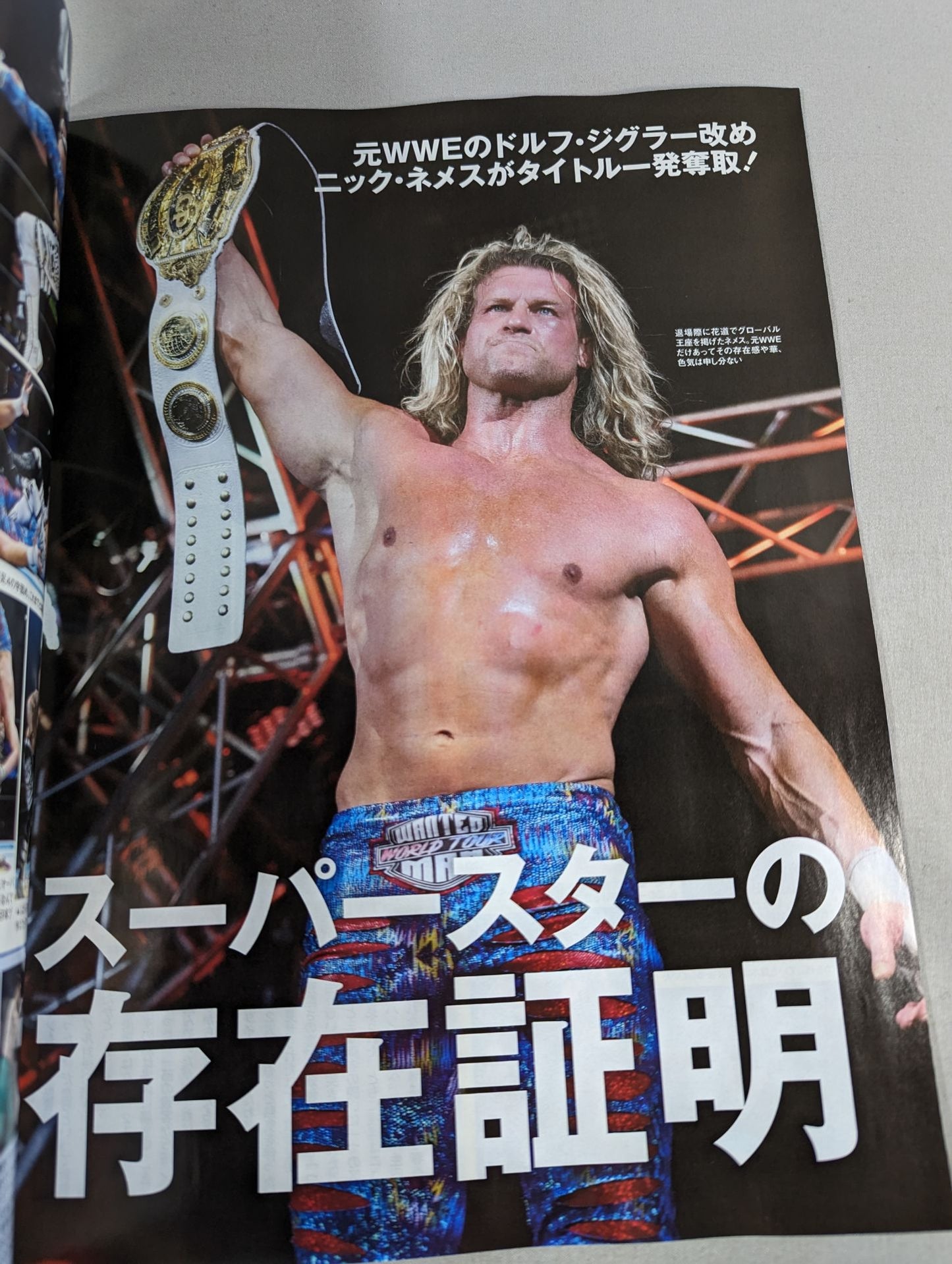 Weekly Pro Wrestling 2290