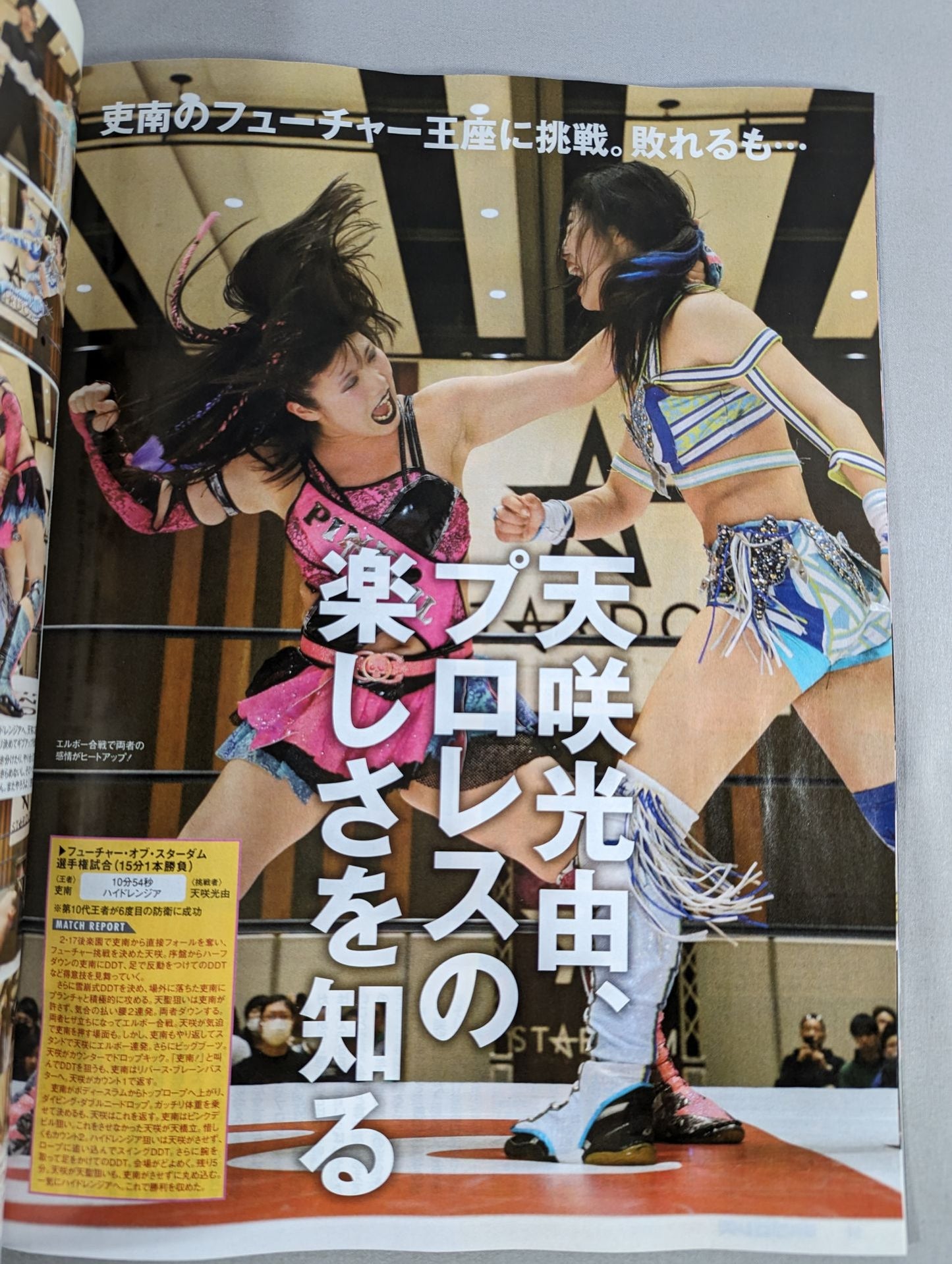 Weekly Pro Wrestling 2290