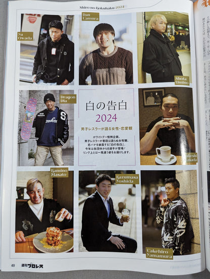 Weekly Pro Wrestling 2291