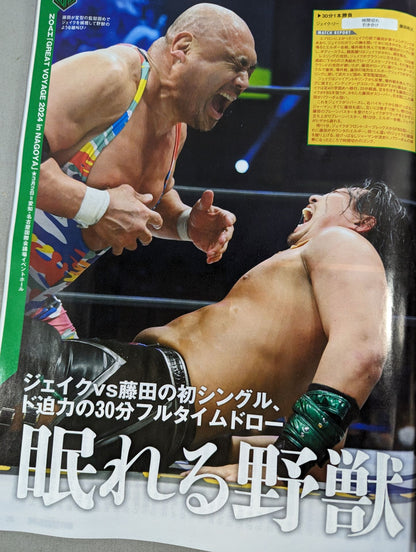 Weekly Pro Wrestling 2291