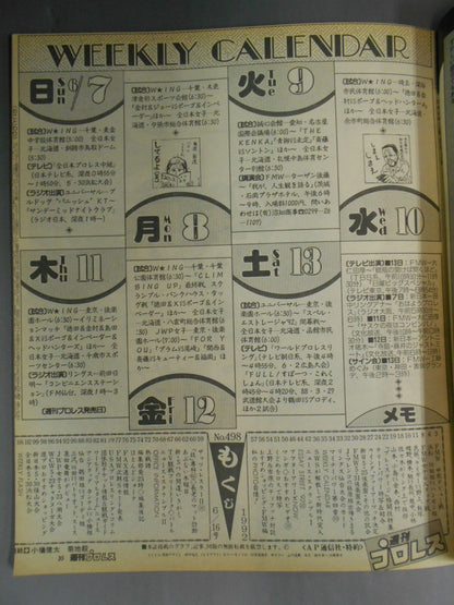 Weekly Pro Wrestling 498