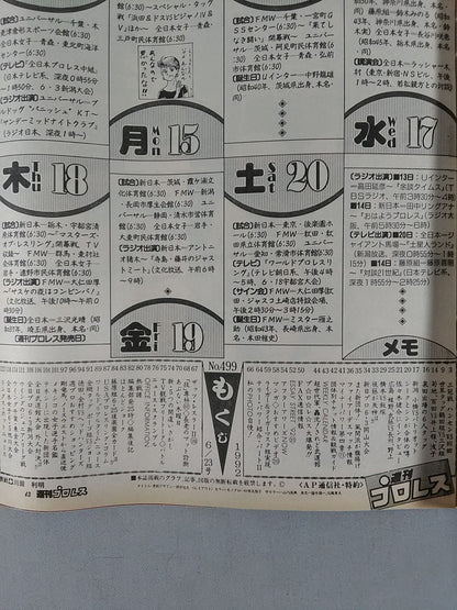 週刊プロレス499