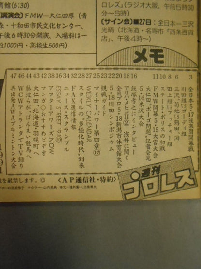 Weekly Pro Wrestling  437