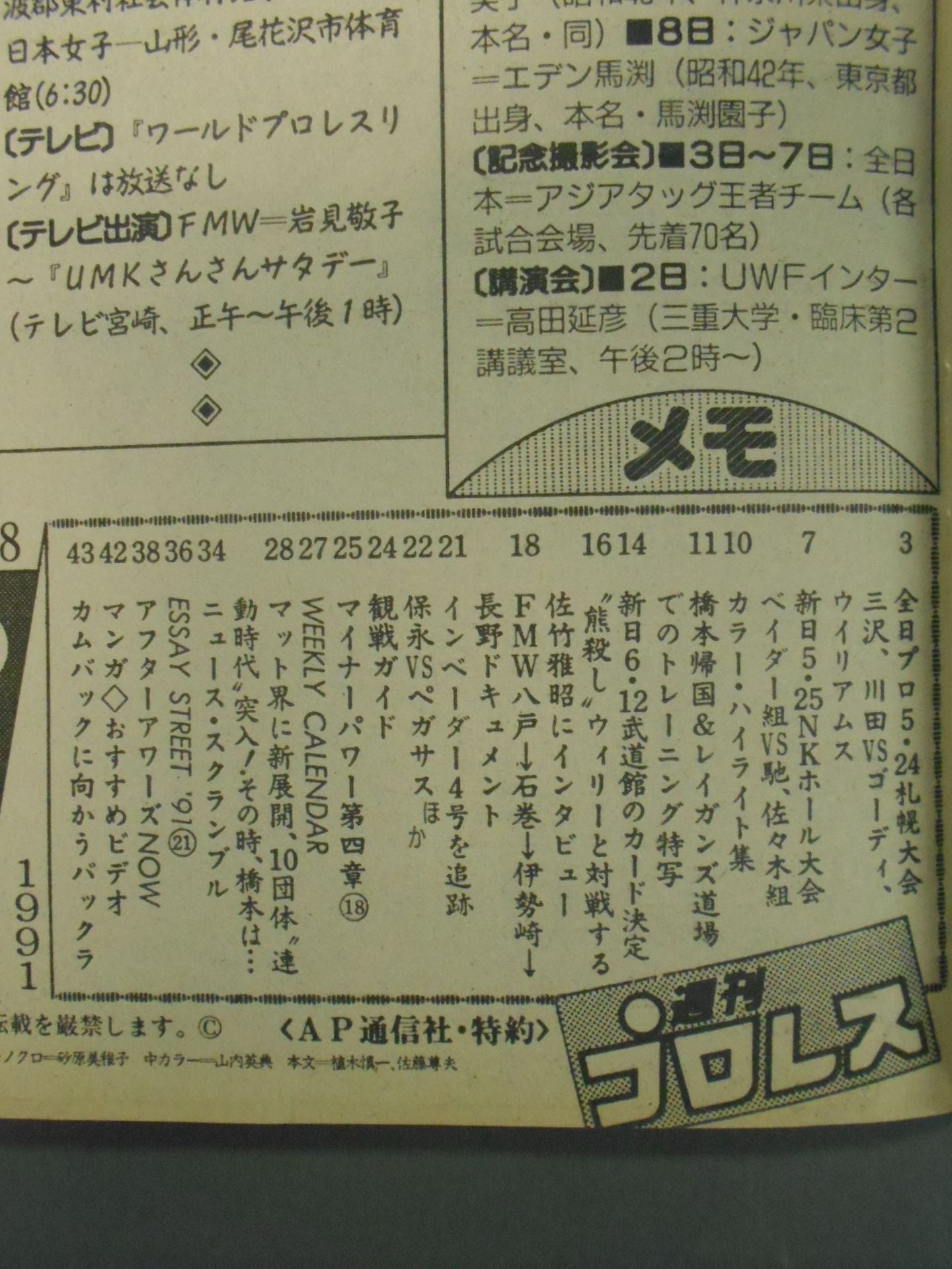 Weekly Pro Wrestling 438