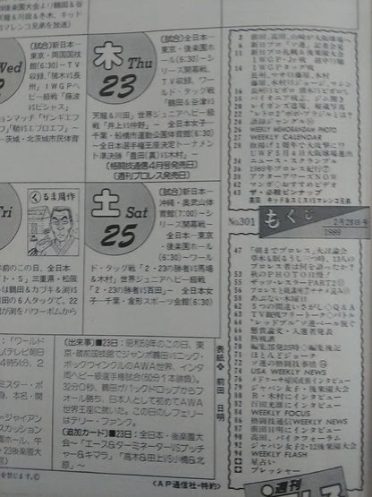 Weekly Pro Wrestling 301