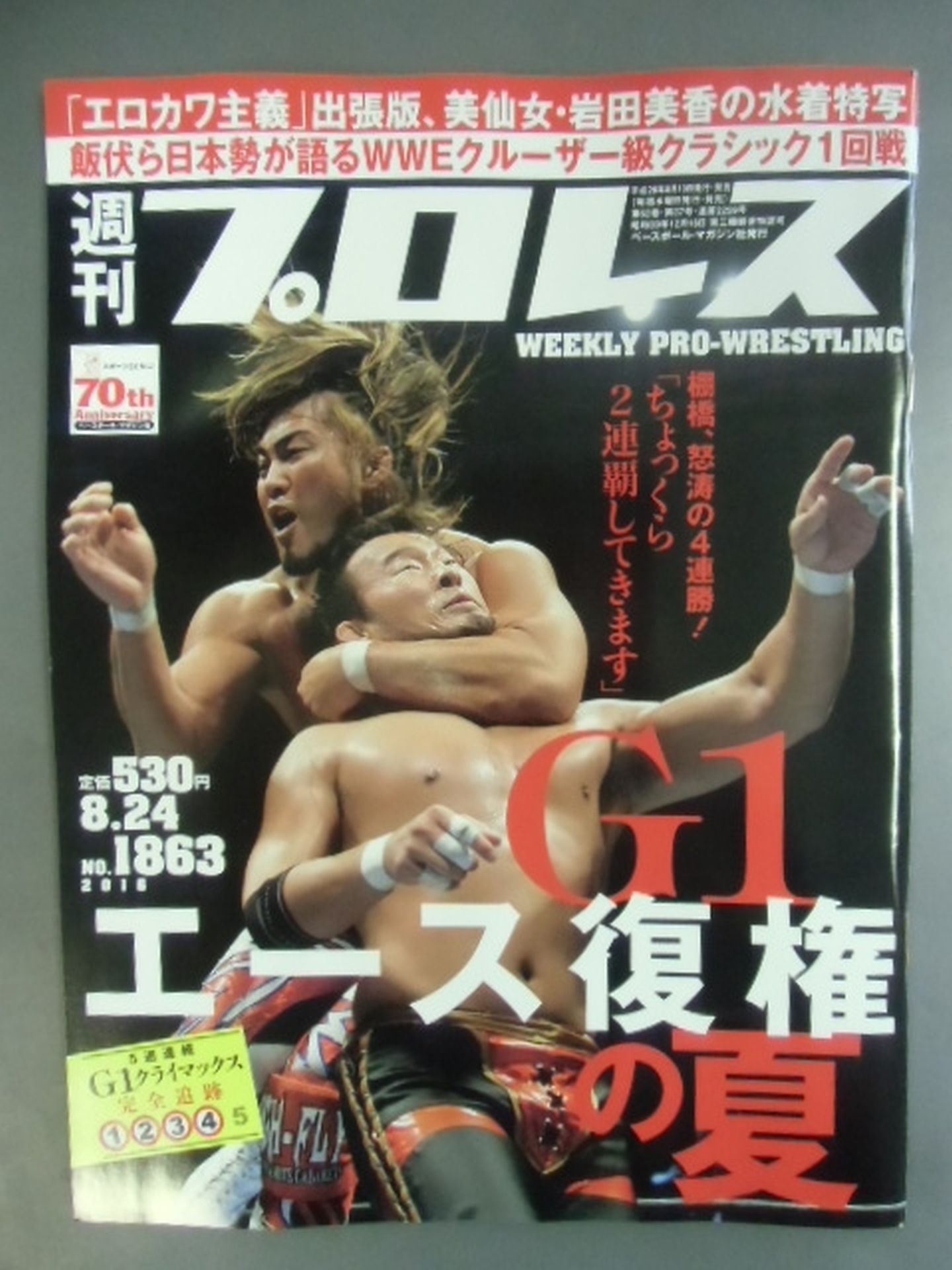 Weekly Pro Wrestling 1863