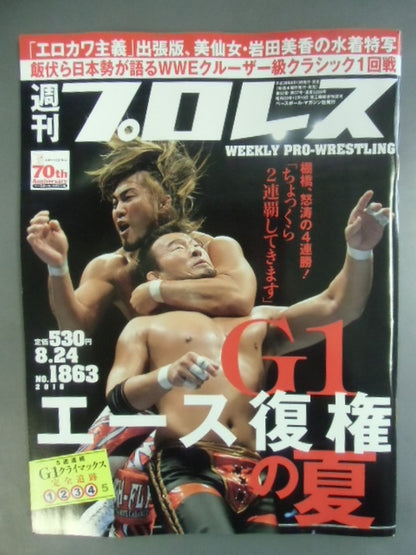 Weekly Pro Wrestling 1863