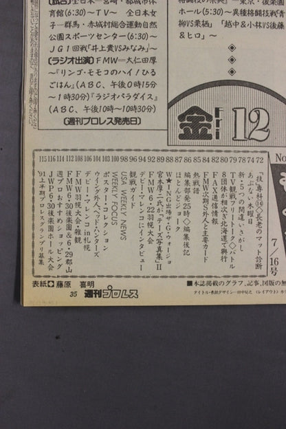 Weekly Pro Wrestling 443