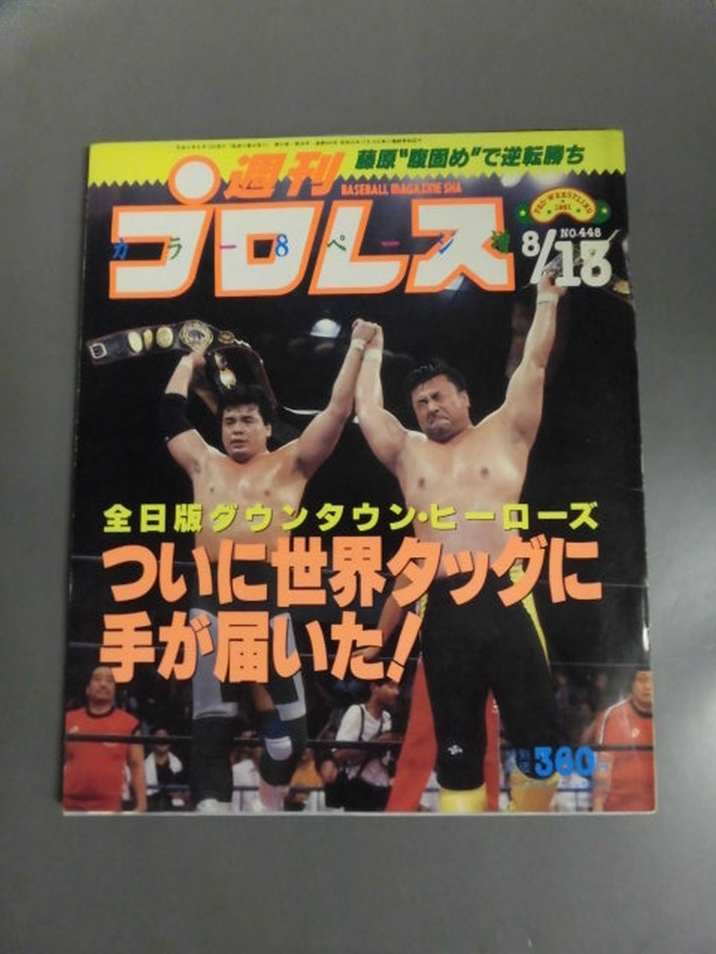Weekly Pro Wrestling 448