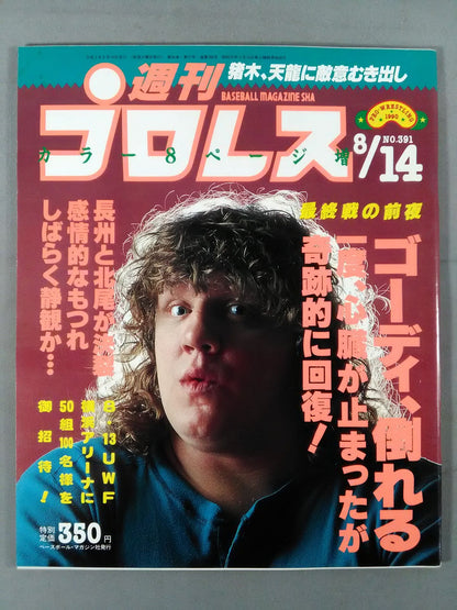 Weekly Pro Wrestling 391