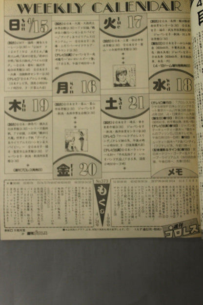 Weekly Pro Wrestling 373