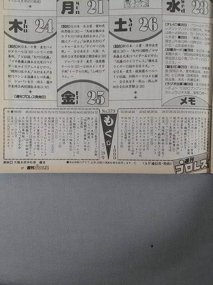 Weekly Pro Wrestling  379