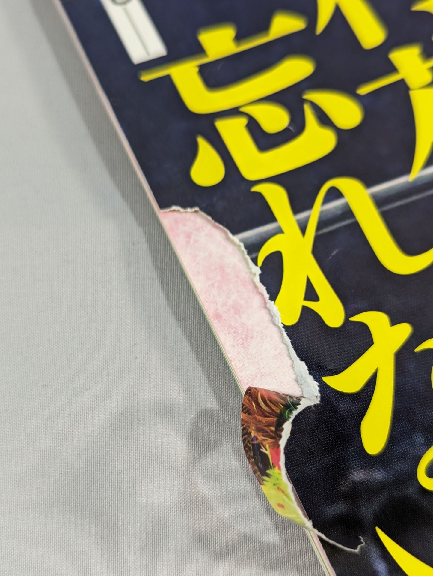 週刊プロレス2067