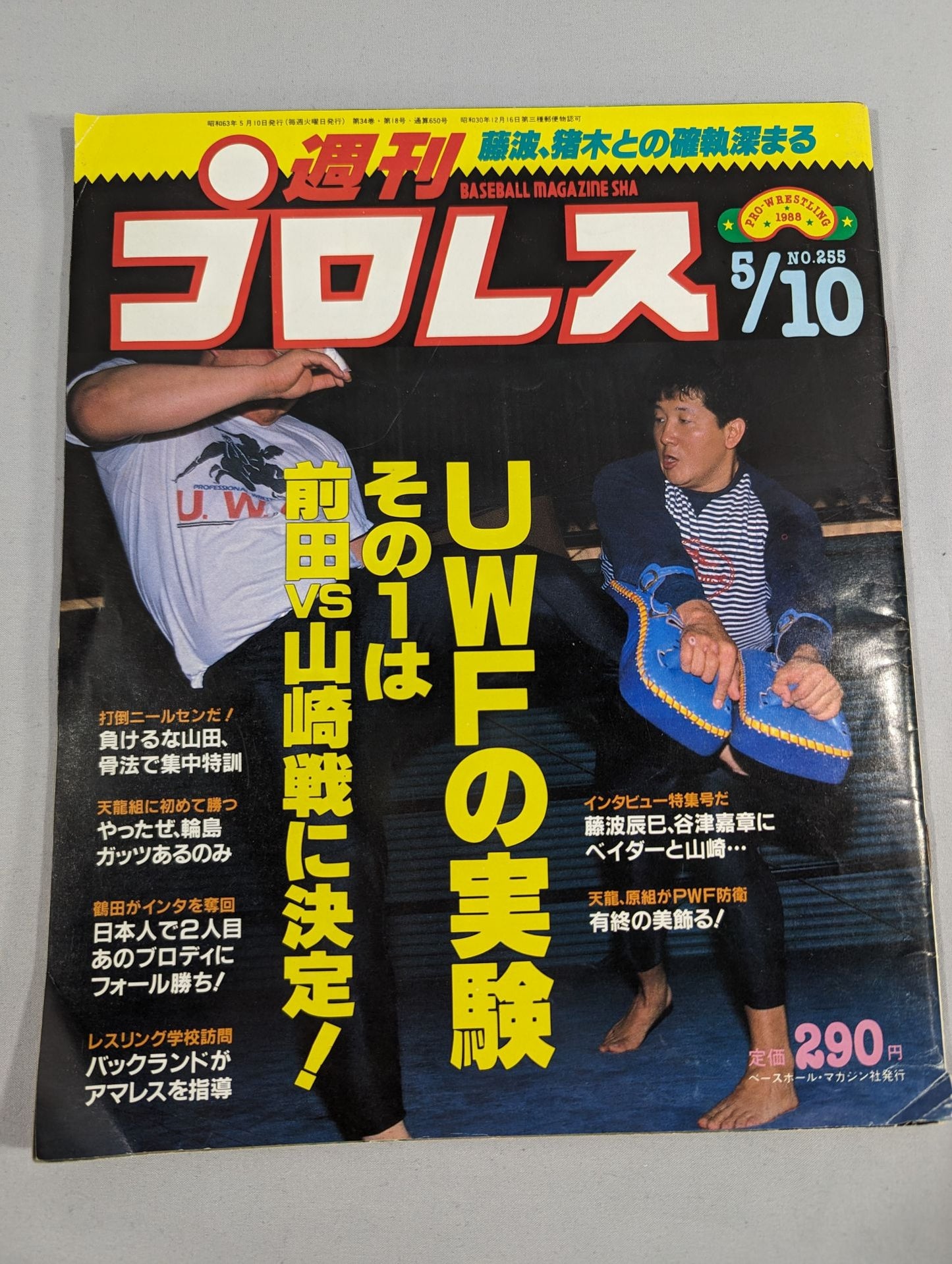 週刊プロレス255