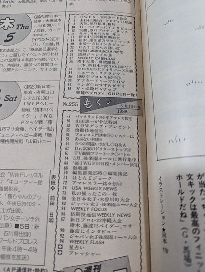 週刊プロレス255