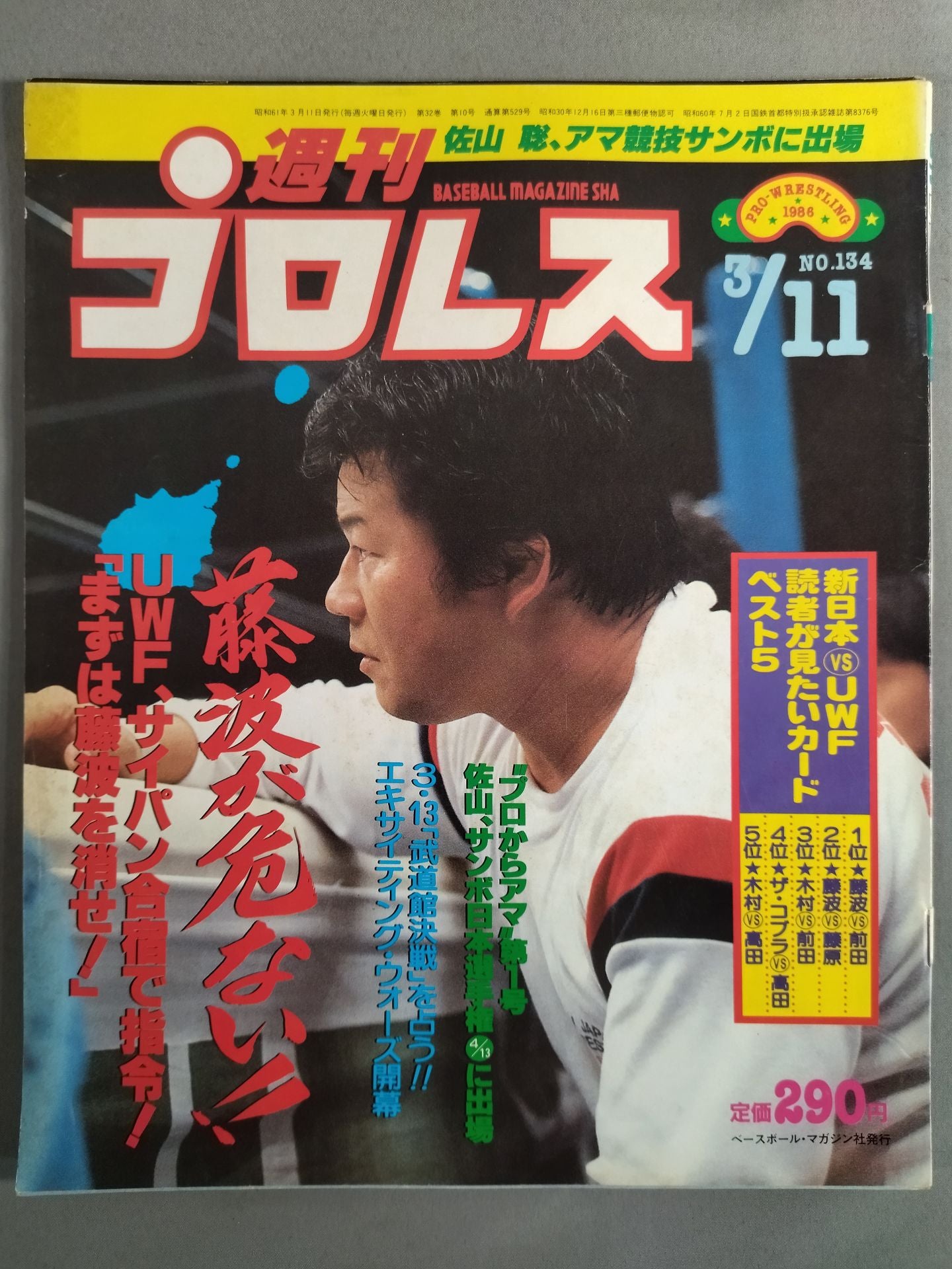 週刊プロレス134