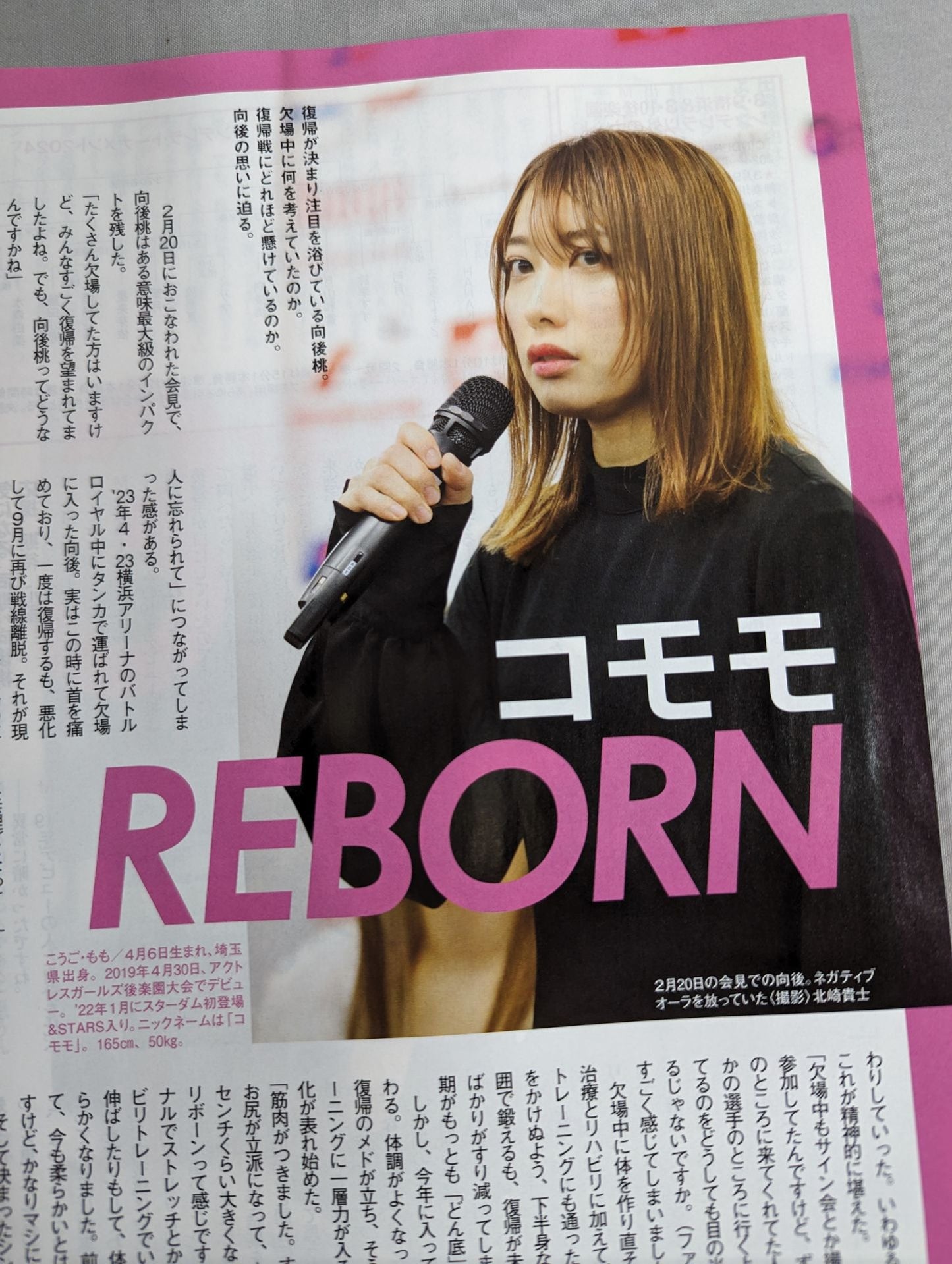 Weekly Pro Wrestling 2291