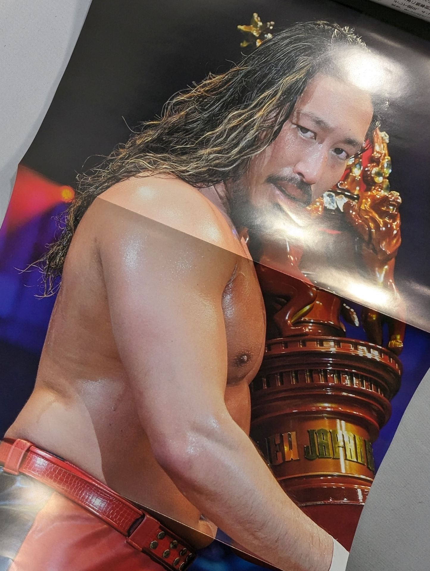 Weekly Pro Wrestling 2296