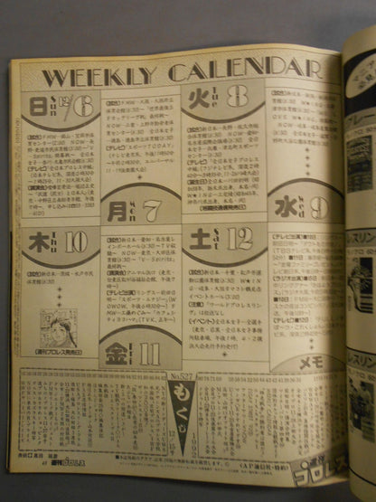 Weekly Pro Wrestling 527