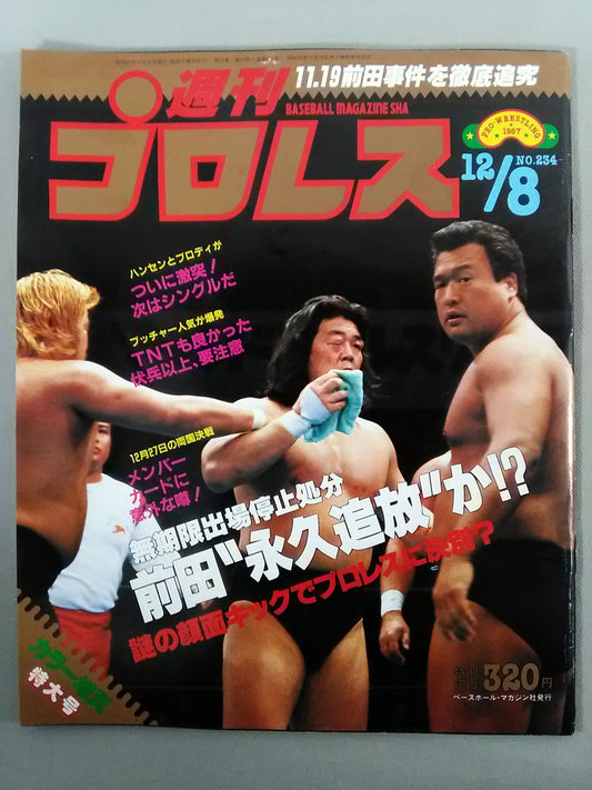 Weekly Pro Wrestling 234