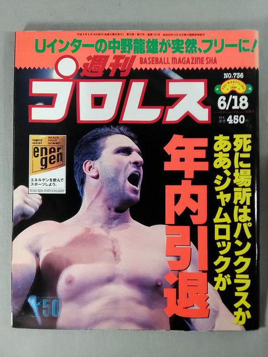 Weekly Pro Wrestling 736