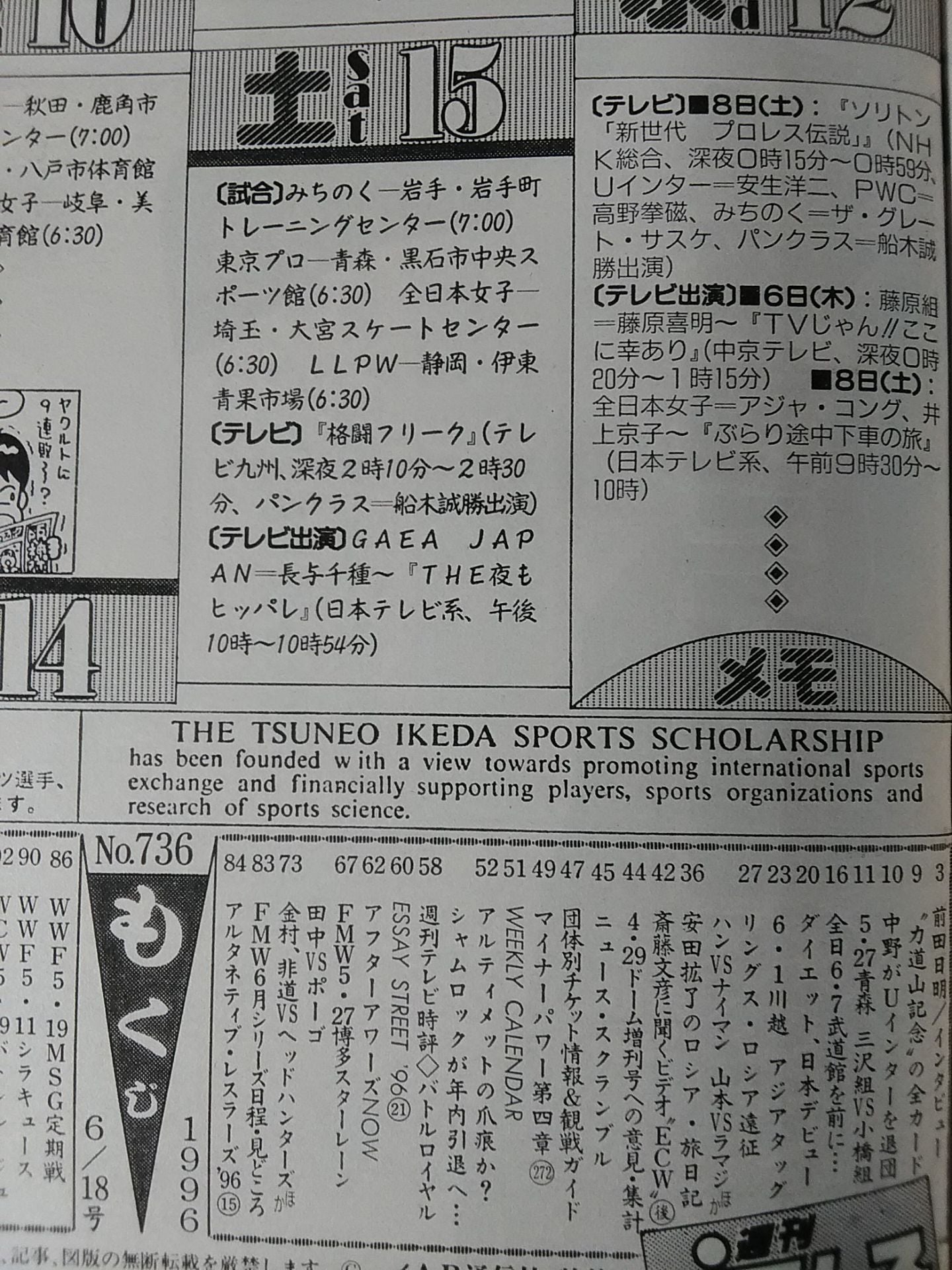 Weekly Pro Wrestling 736