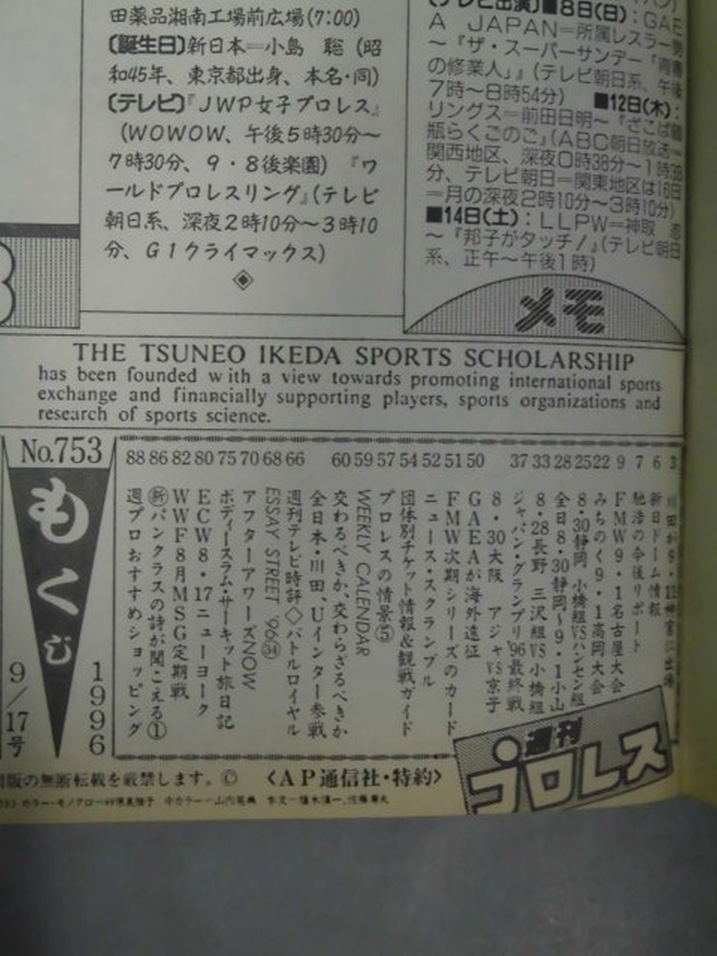 Weekly Pro Wrestling 753