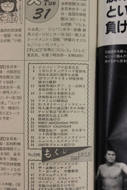 Weekly Pro Wrestling 196