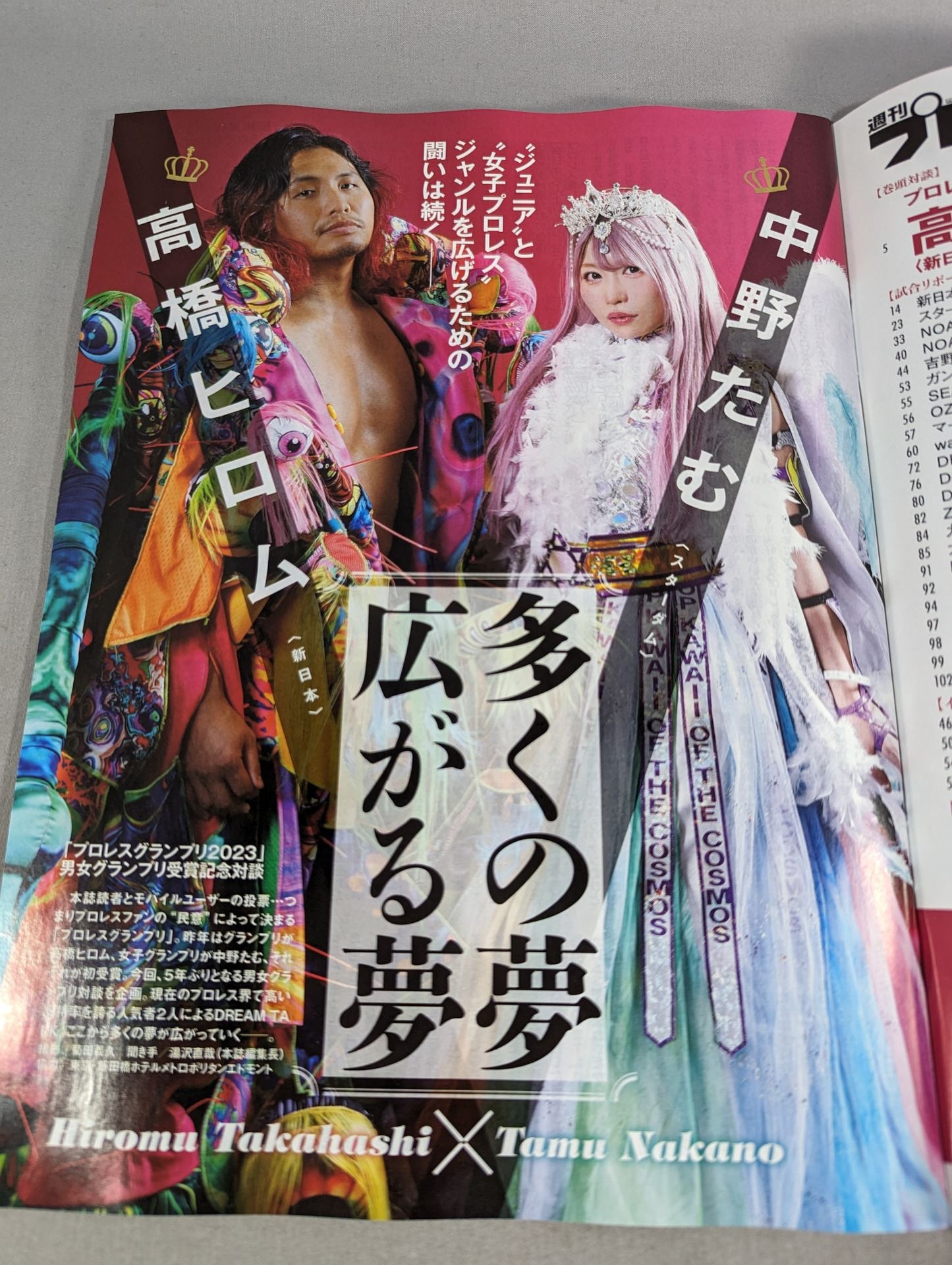 Weekly Pro Wrestling 2289