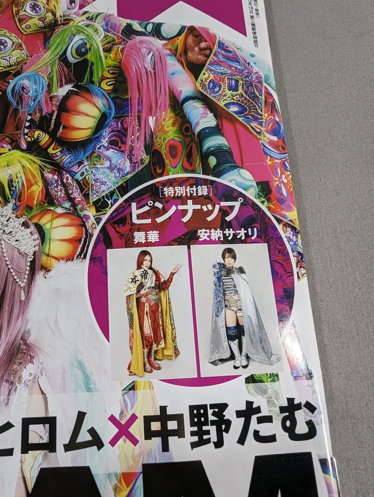 Weekly Pro Wrestling 2289