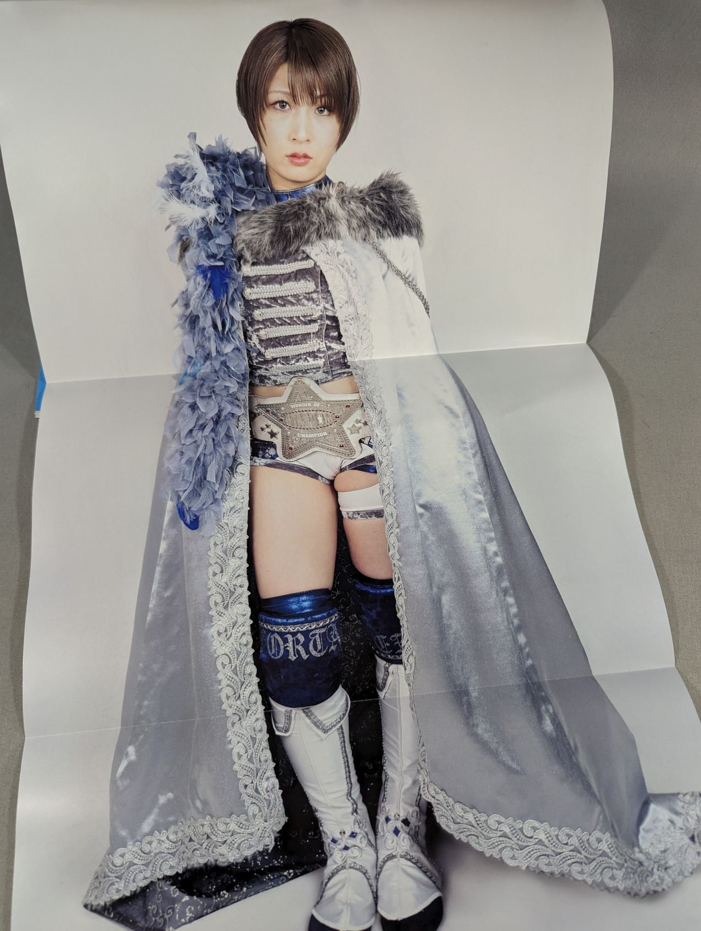 Weekly Pro Wrestling 2289