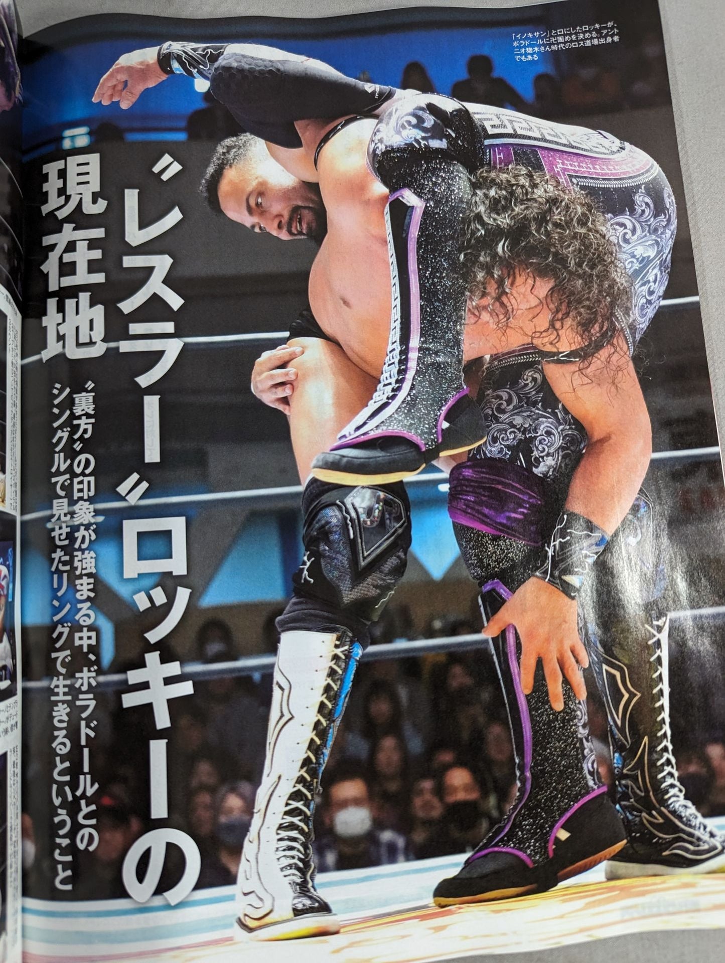 Weekly Pro Wrestling 2289