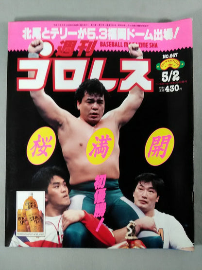 Weekly Pro Wrestling 667