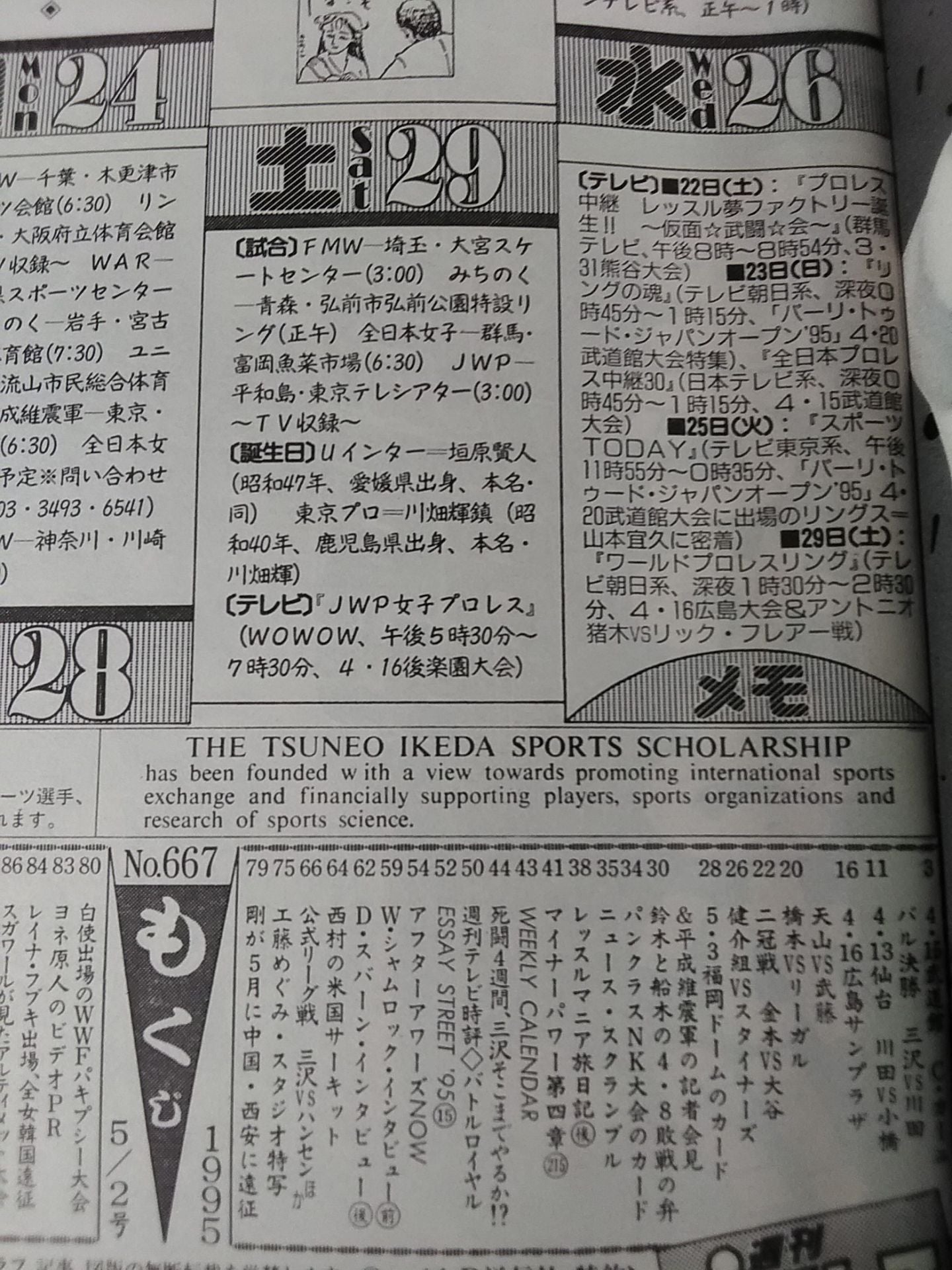 Weekly Pro Wrestling 667
