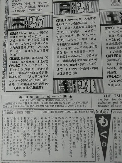 Weekly Pro Wrestling 667