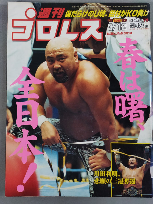Weekly Pro Wrestling 1079