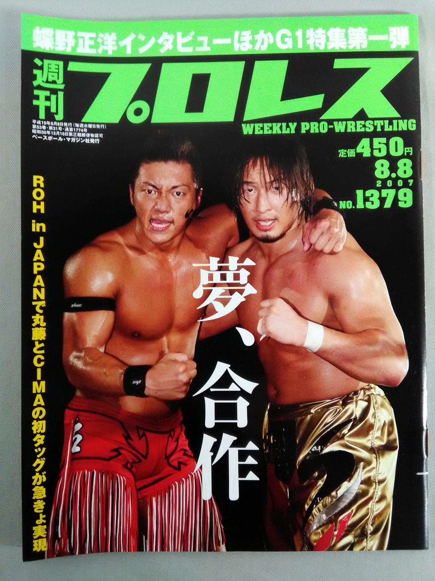 Weekly Pro Wrestling 1379